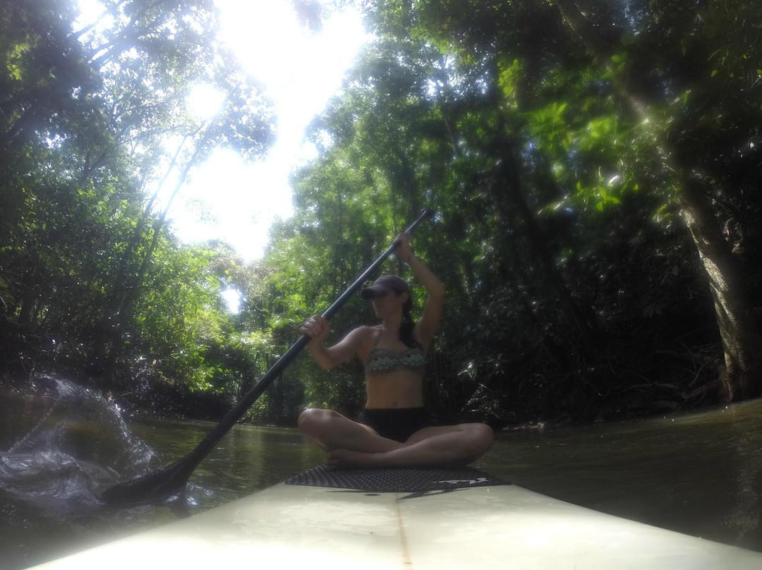 Green Water SUP Tours-Punta Uva必去景点