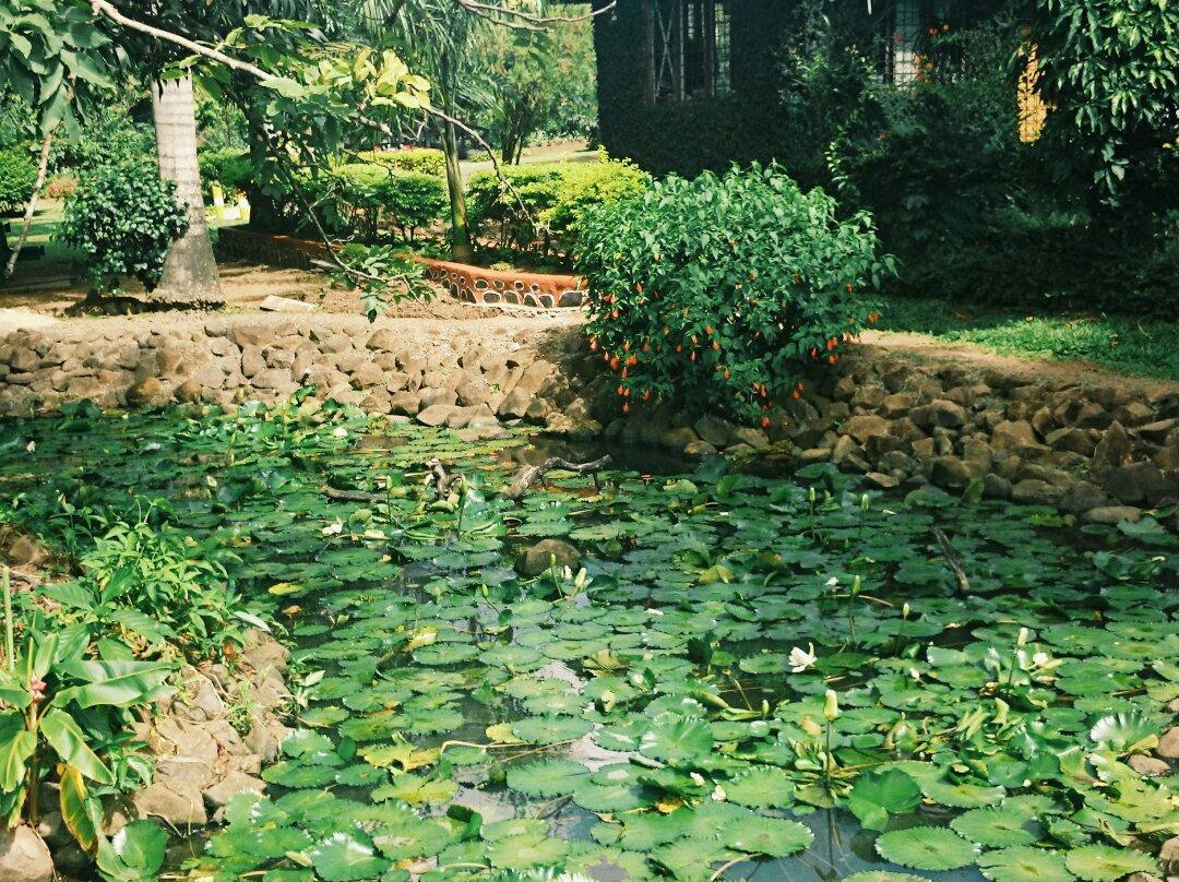 Botanical Gardens-劳托卡必去景点