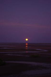 Cooke Point Viewing Platform-Port Hedland必去景点