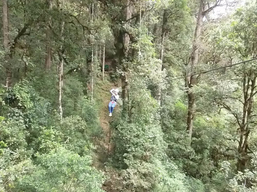 Savegre Reserve景点图片