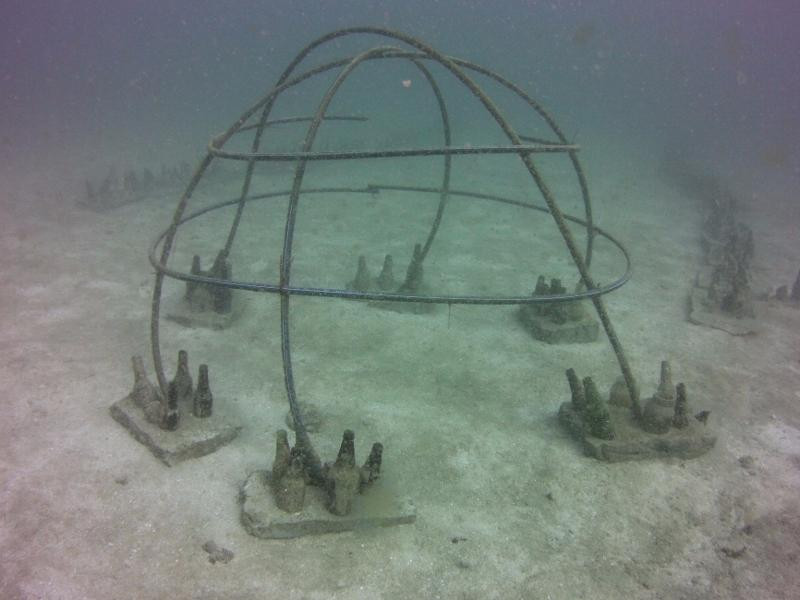 Tropical Research and Conservation Centre-古达必去景点