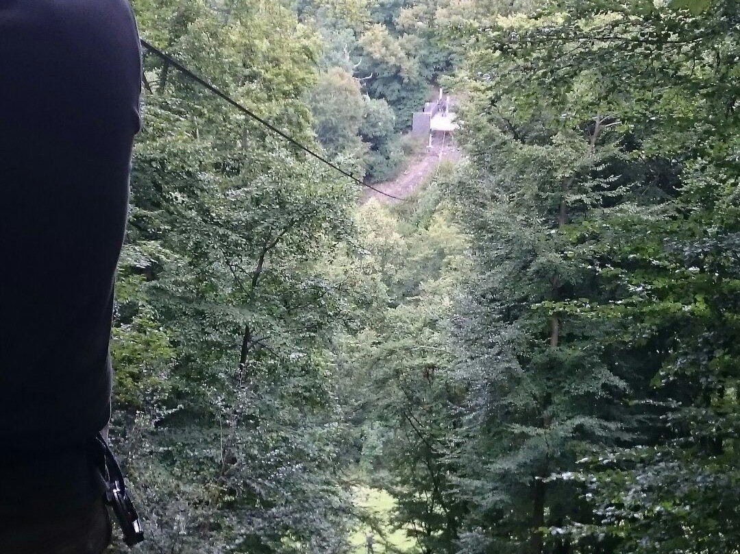 Wald-Abenteuer Bad Neuenahr-巴特诺因阿尔－阿尔韦勒必去景点