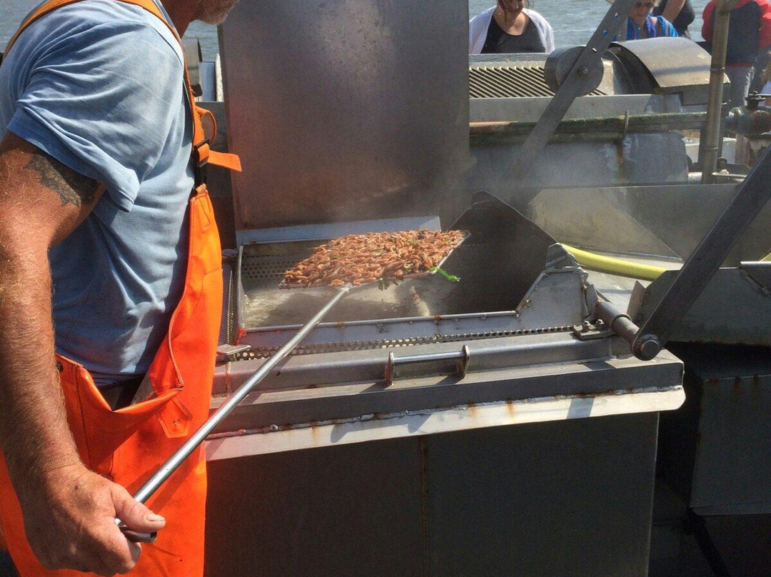 TX35 De Zeester - Boat Tour-Oudeschild必去景点