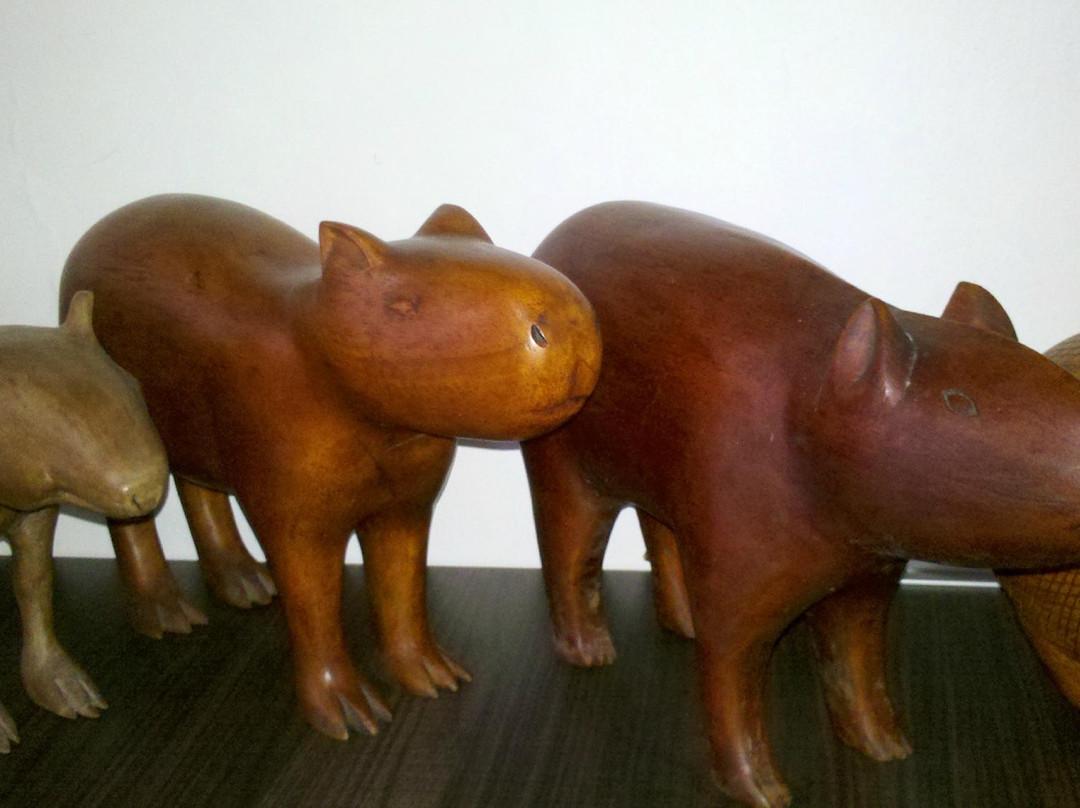 Museo Caqueta-Florencia必去景点