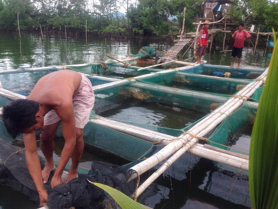 Culajao Mangrove Eco Park景点图片