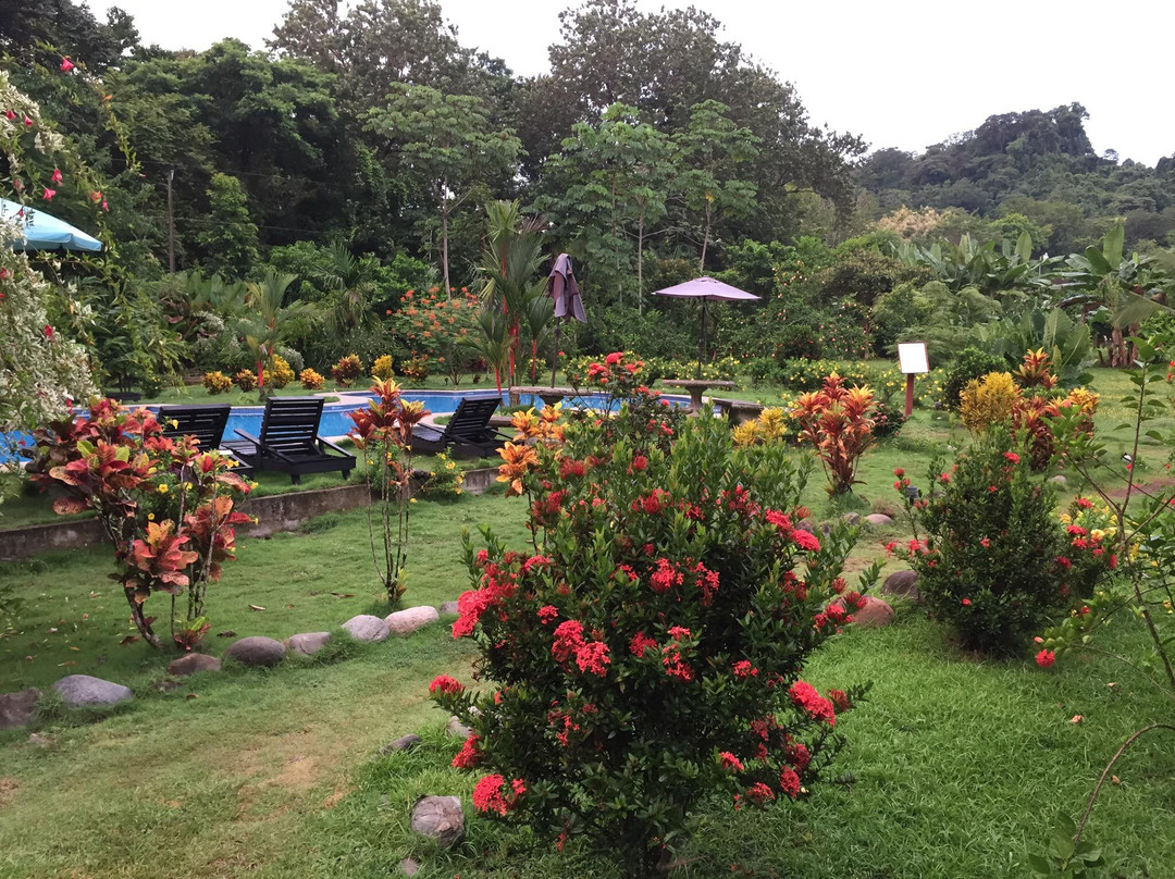 Palma Quemada酒店住宿-Hacienda Baru Lodge