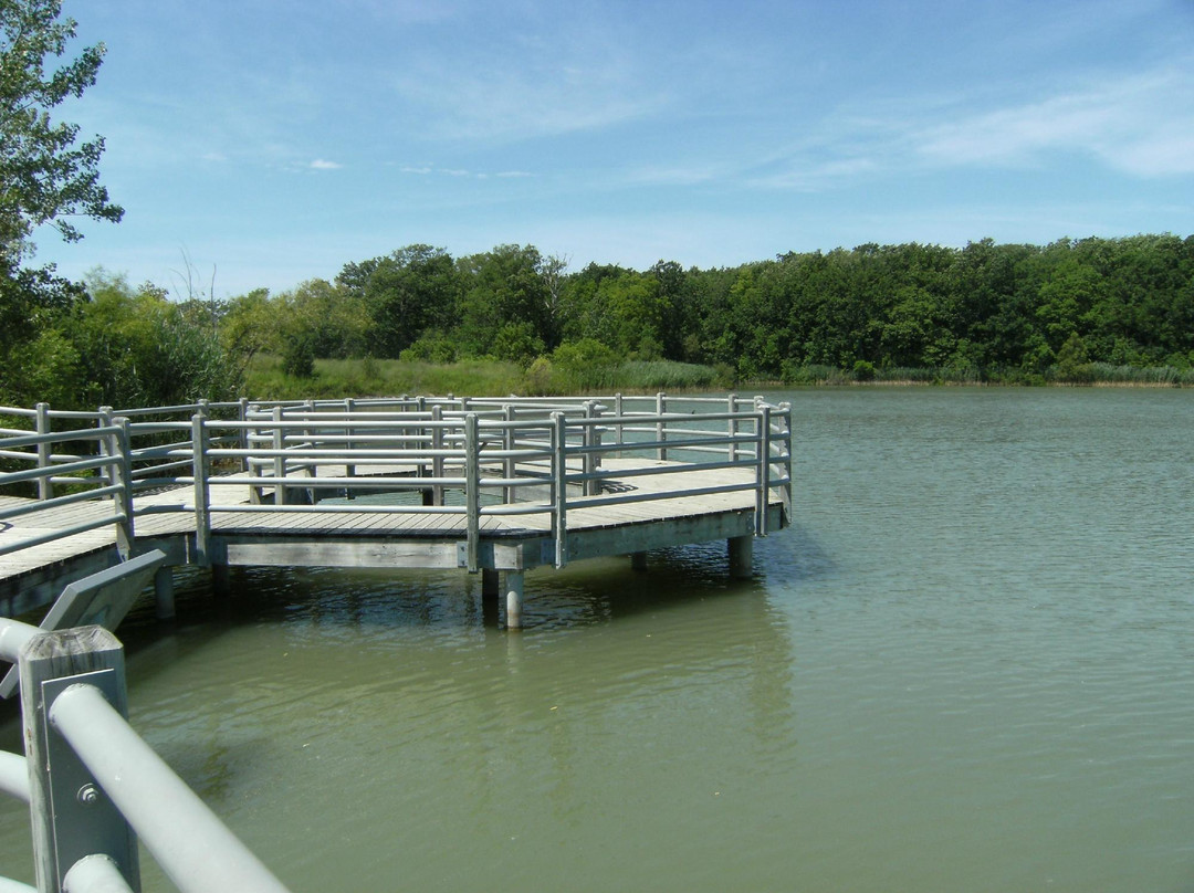 Glenridge Quarry Naturalization Site-圣凯瑟琳斯必去景点