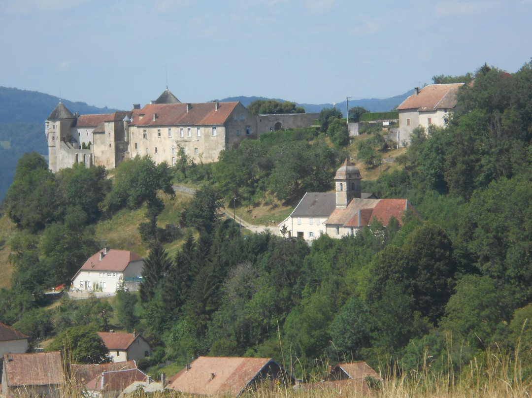 Château de Belvoir景点图片
