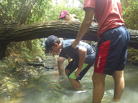 The Betekha, Bethsaida, Majrase and Zaki Nature Reserve-加利利必去景点