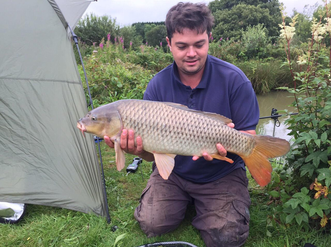 Hartland Forest Golf Parc主图