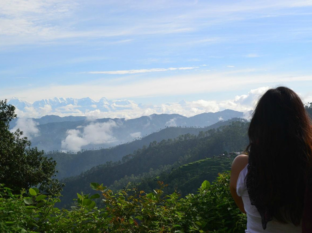 Hotel Royal Mountain主图