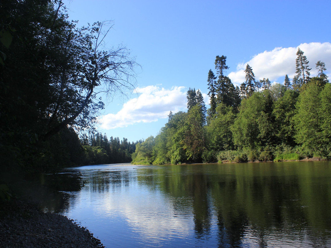 Arrowvale