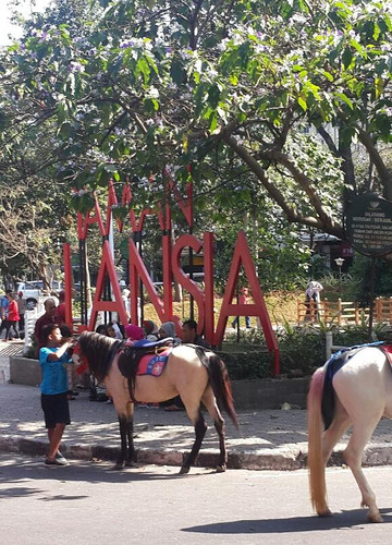 Lansia Park-万隆必去景点