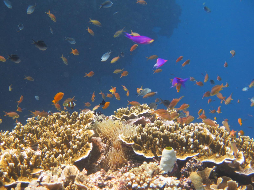 Explor'Aqua-塔拉瓦环礁必去景点