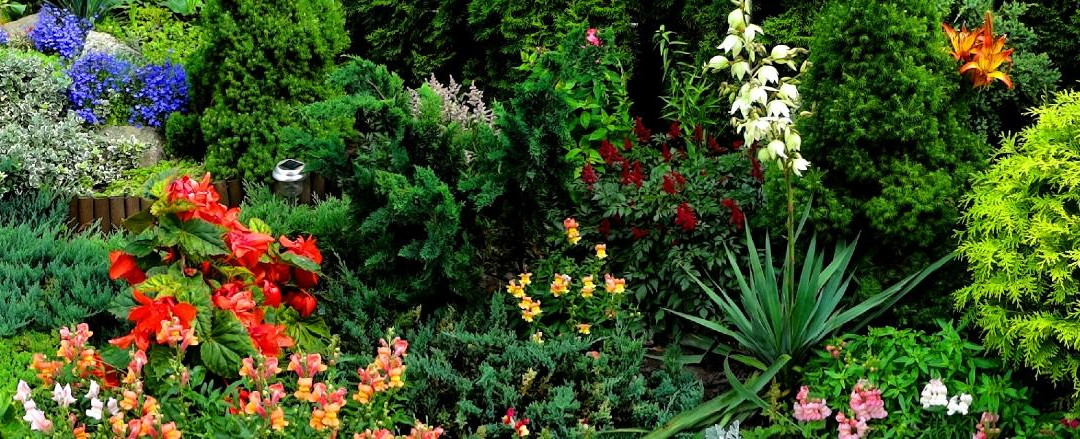 Delta Guest House主图