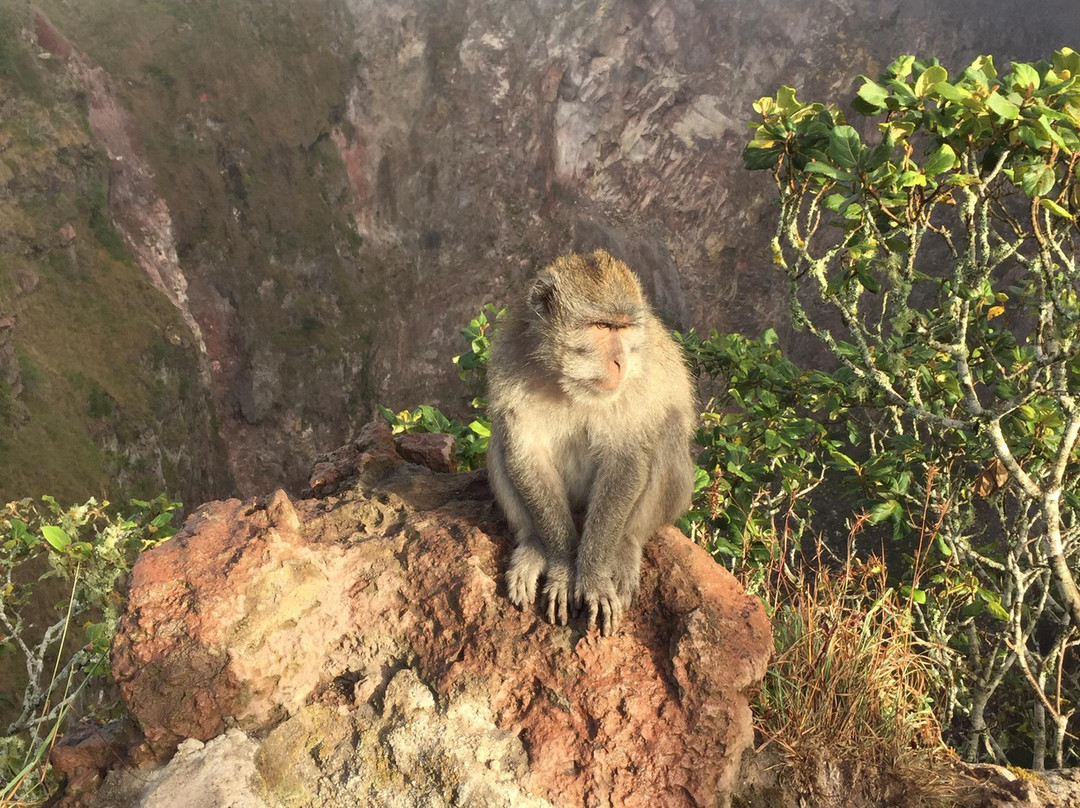 Bali Sunrise Trekking Tour-金塔马尼必去景点