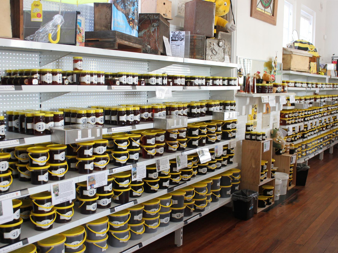 Boorowa旅游景点-Harden's House of Honey