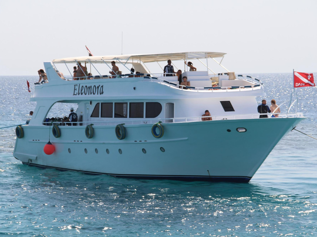 Infinity Divers-沙姆沙伊赫必去景点