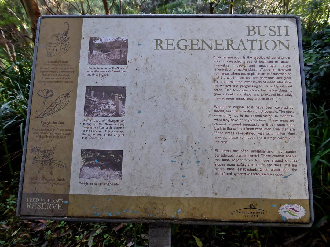 Fred Hollows Reserve-兰德威克必去景点