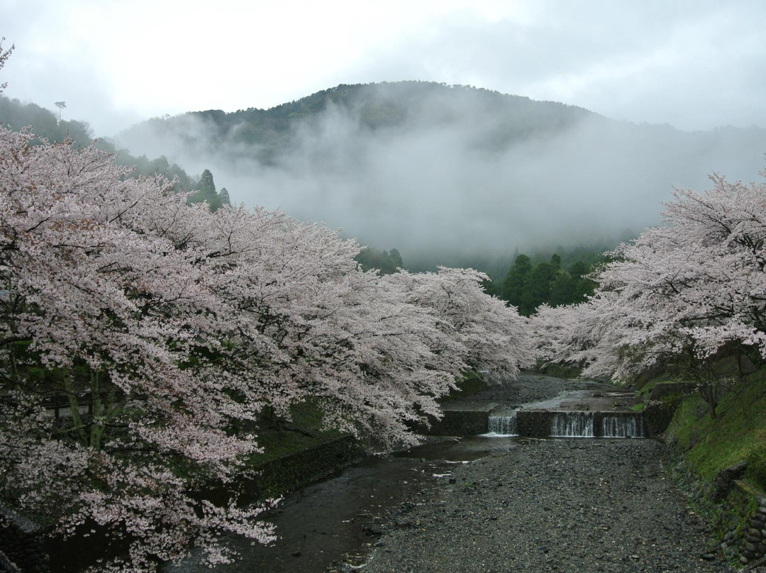 Yawaragi no michi-龟冈市必去景点