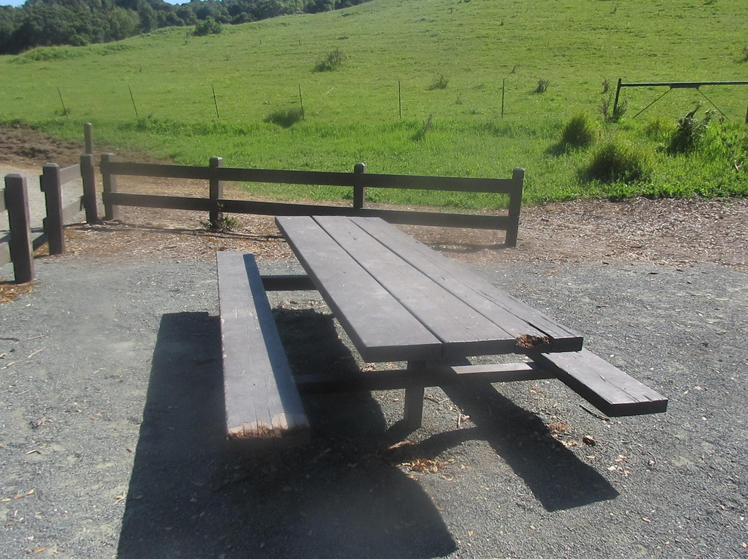 Las Trampas Regional Wilderness-圣拉蒙必去景点