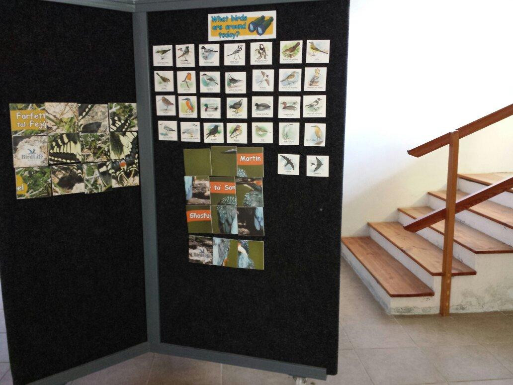 Simar Nature Reserve-Xemxija必去景点