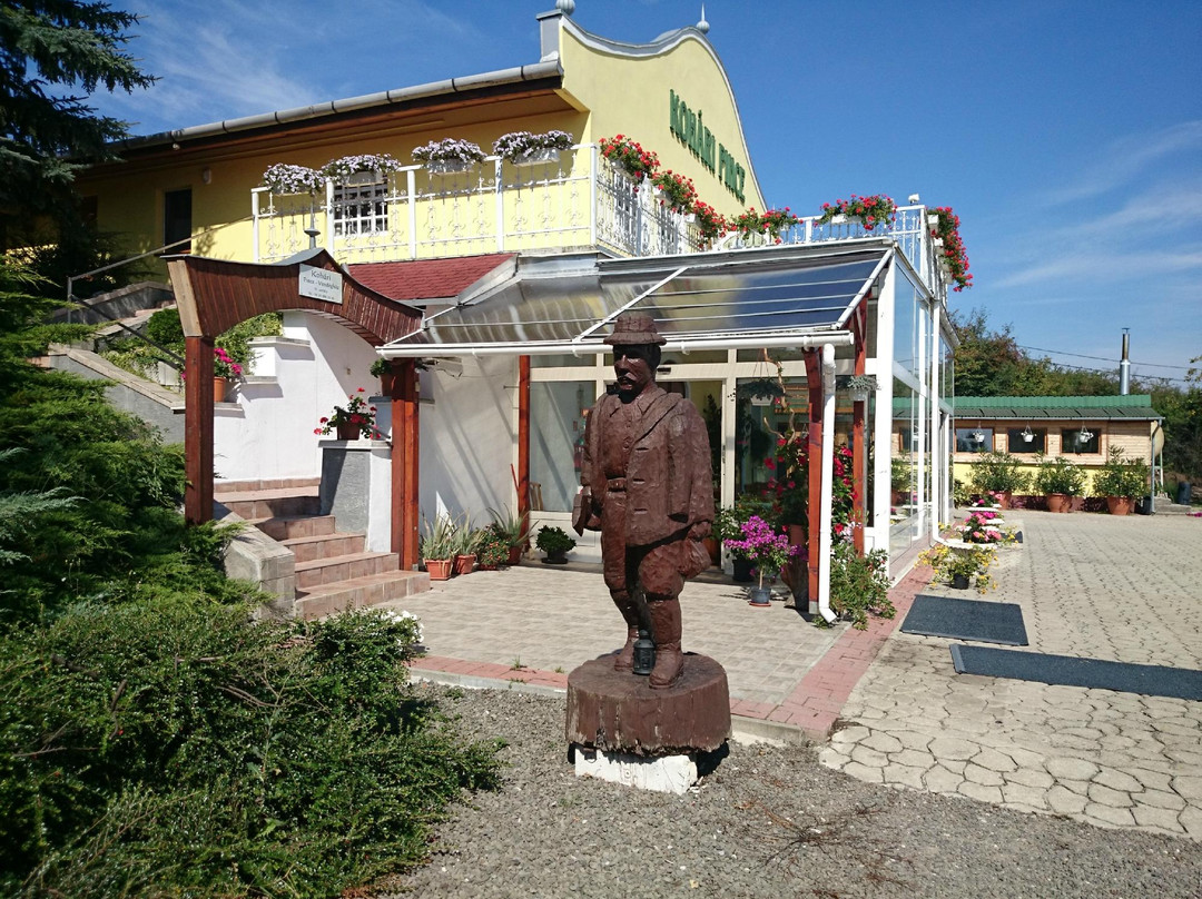 Kohari Pince