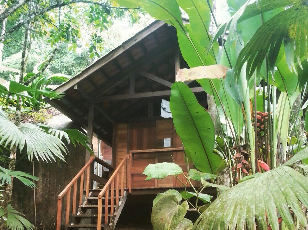 Trindade Sea and Forest Yoga Hostel