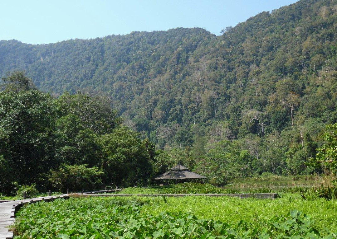 Thale Ban National Park景点图片