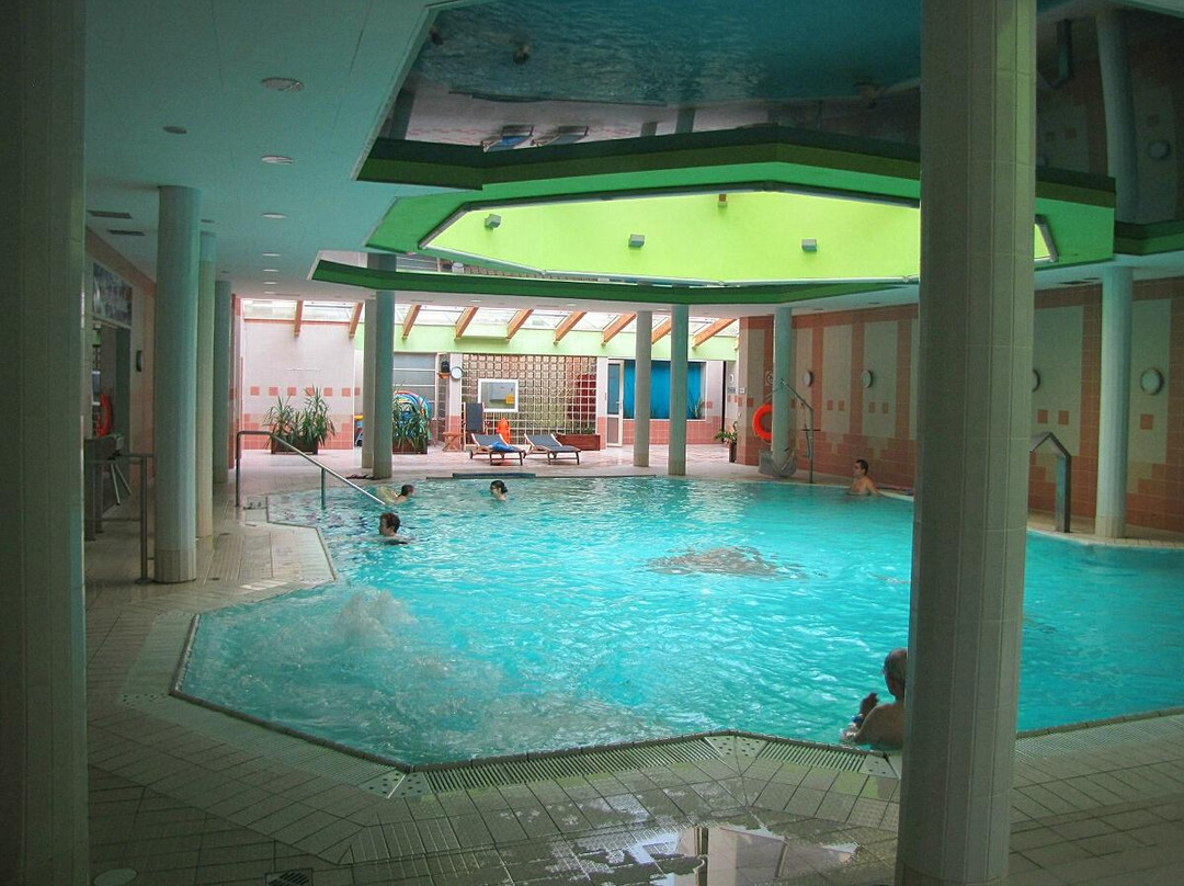 Kurhaus Wielka Pieniawa Spa景点图片