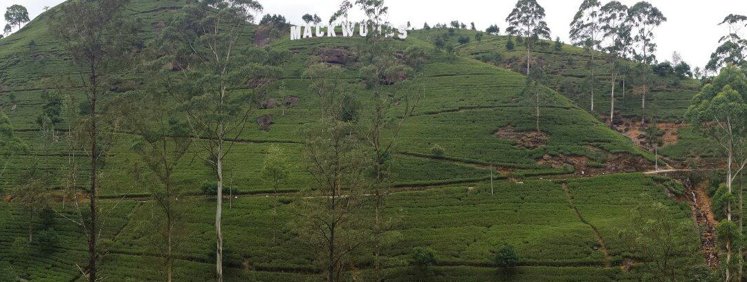 努瓦拉埃利亚巿及茶乡-奴娃拉伊利雅必去景点