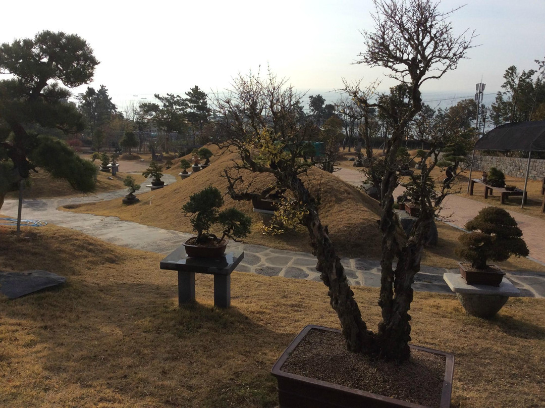Cheonsaseom Bunjae Park-新安郡必去景点