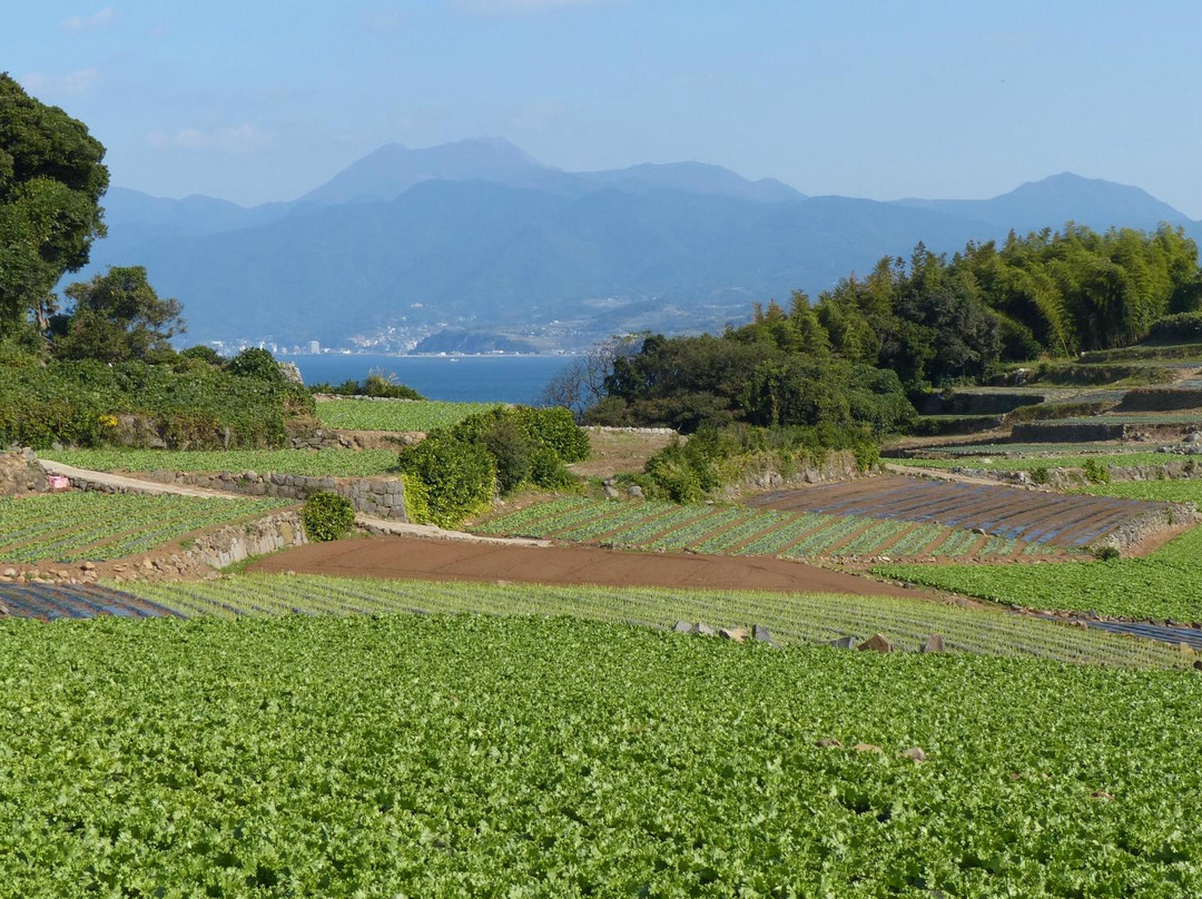 Kunisaki Peninsula Nature Park-云仙市必去景点