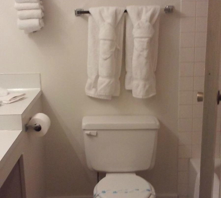 Pine Creek Inn Hotel主图