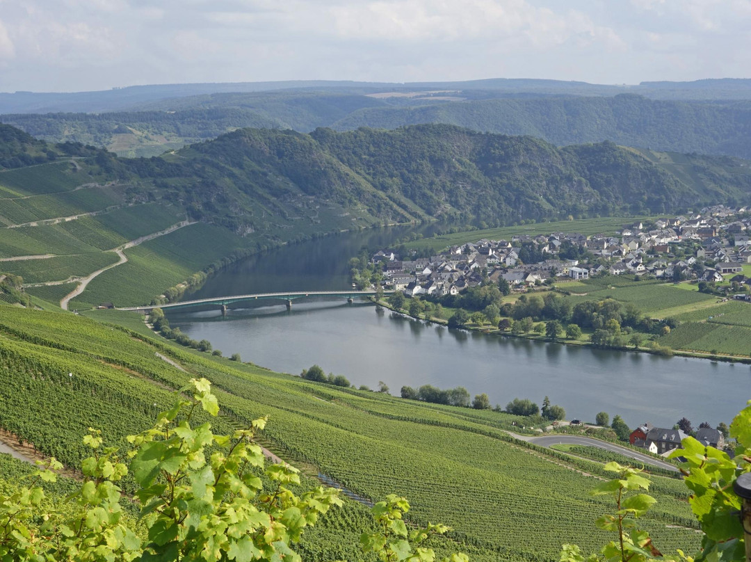 Moselsteig Trail