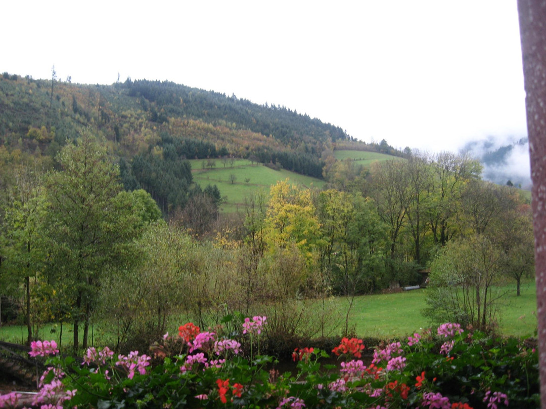 Simonswald酒店住宿-Kettererhof