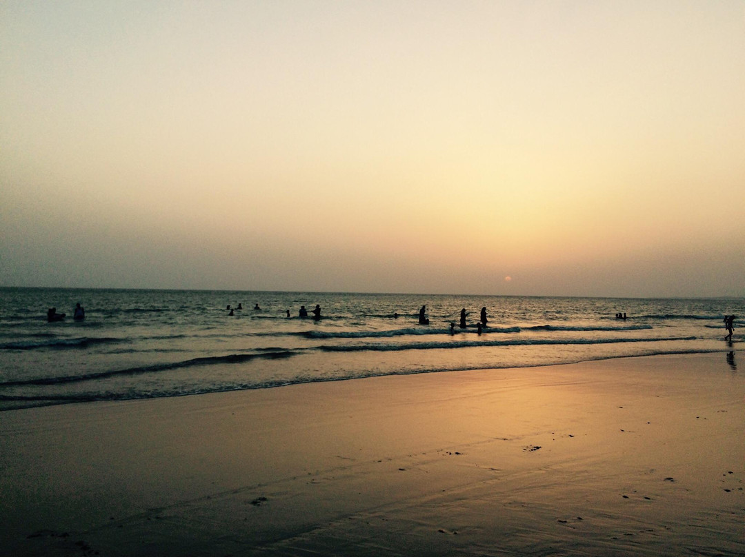 The Beach At Mandvi Palace景点图片
