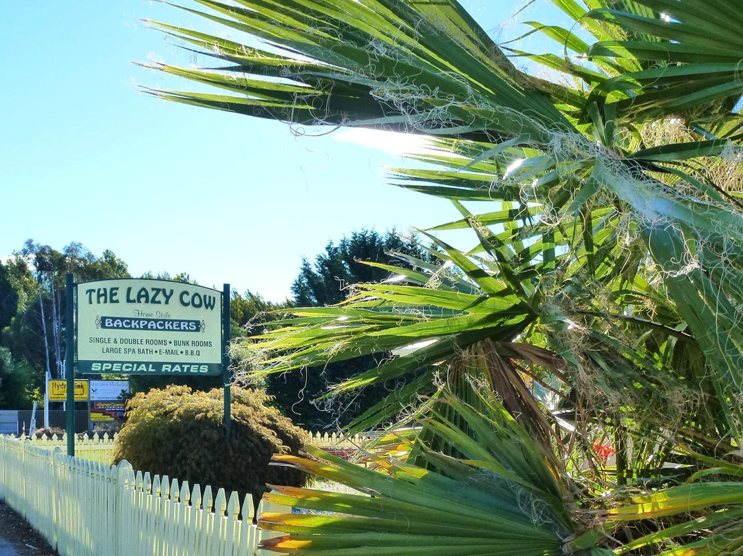 The Lazy Cow Accommodation