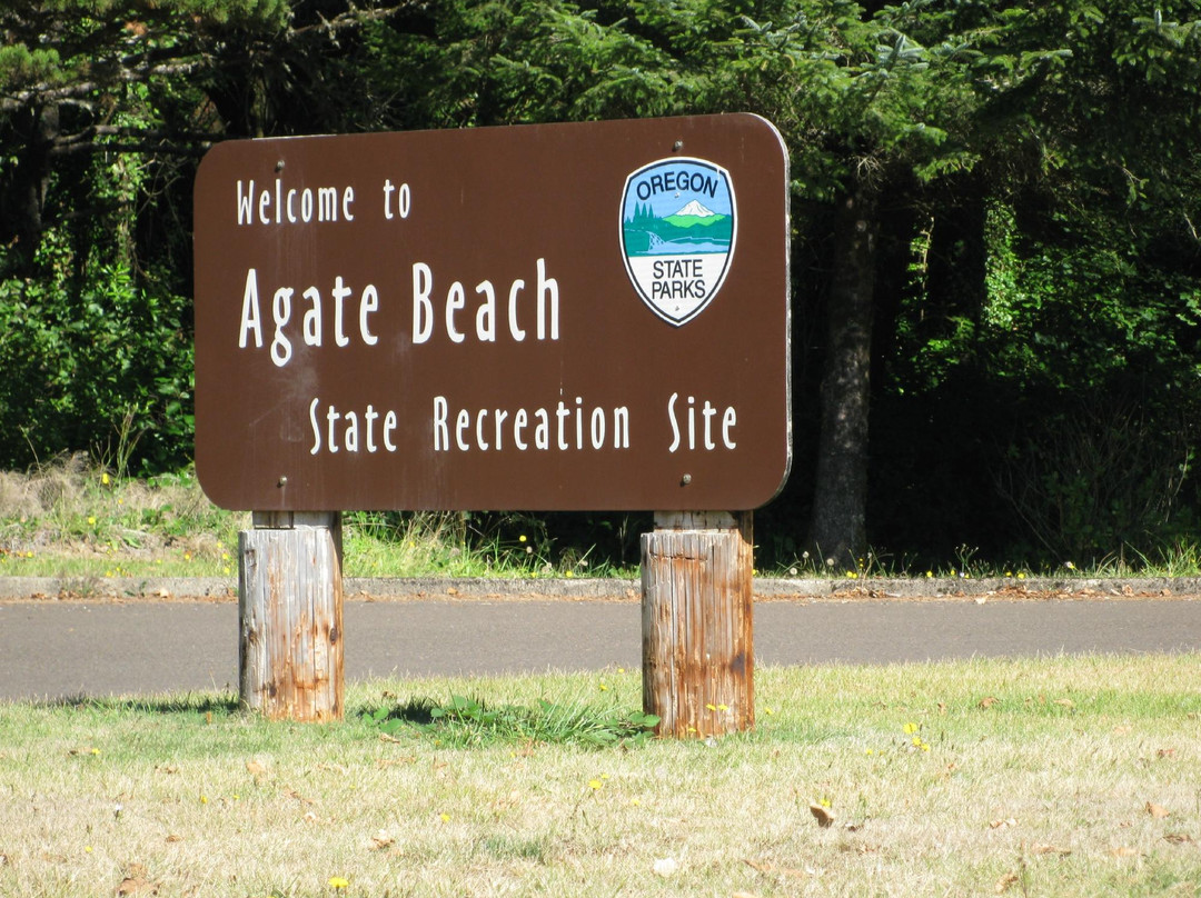 Agate Beach State Recreation Site-纽波特必去景点