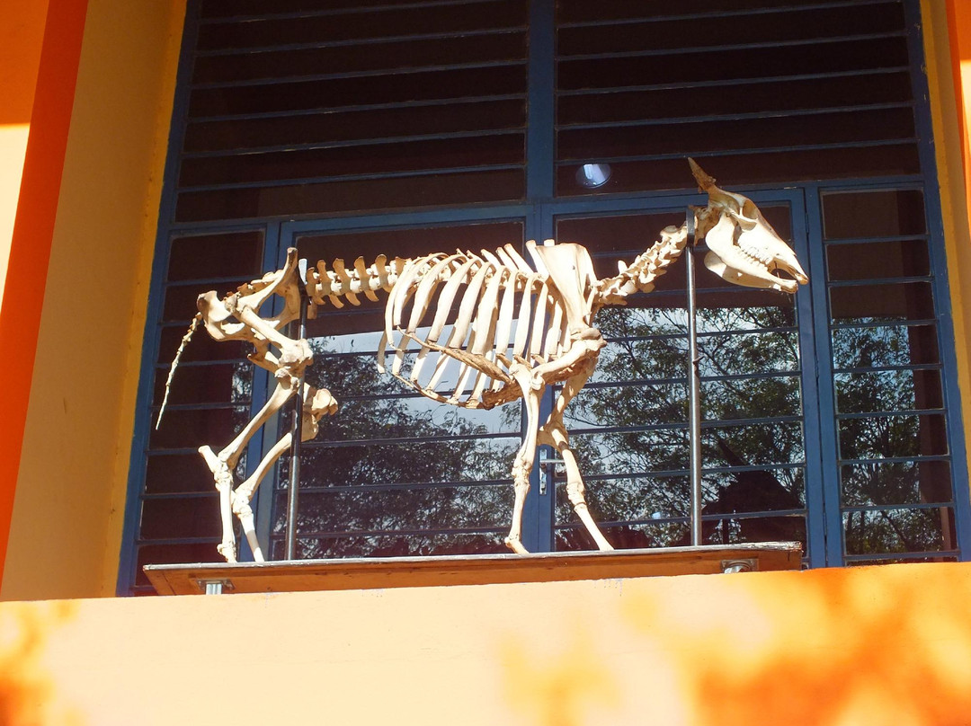 Museu Dinamico Interdisciplinar-Maringa必去景点