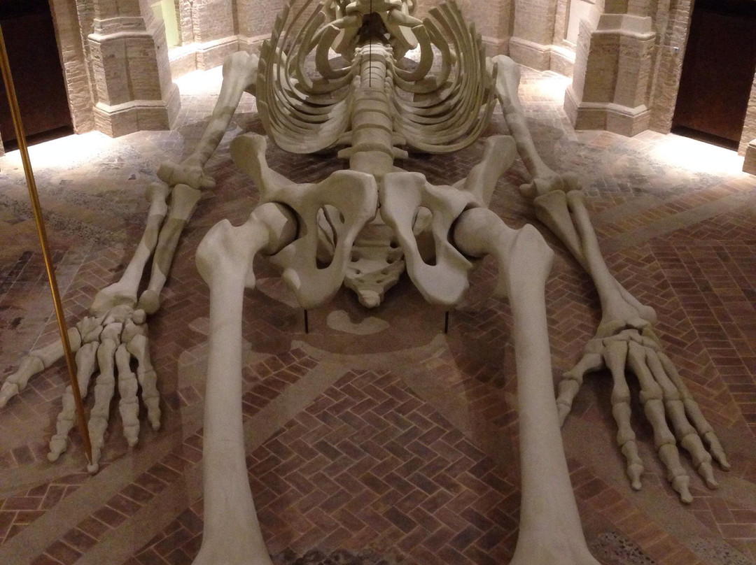 Calamita Cosmica - Centro Italiano Arte Contemporanea景点图片
