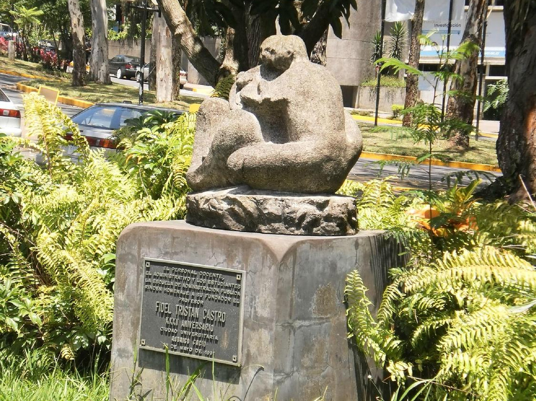 Universidad de Costa Rica景点图片