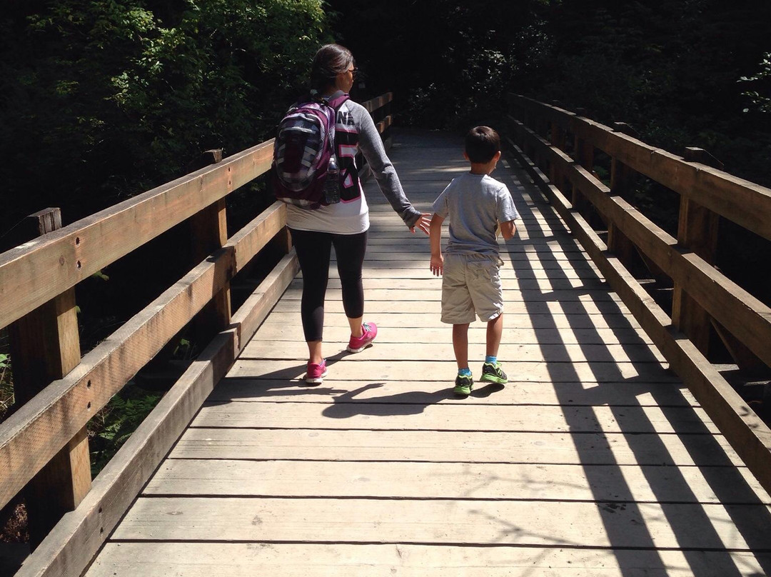 Oswald West State Park-坎农比奇必去景点