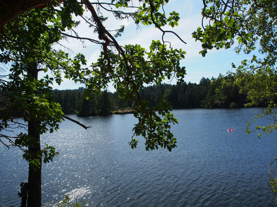 Thetis Lake Regional Park景点图片