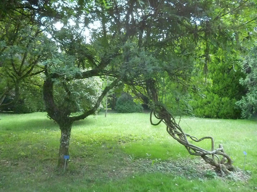 Arboretum National des Barres