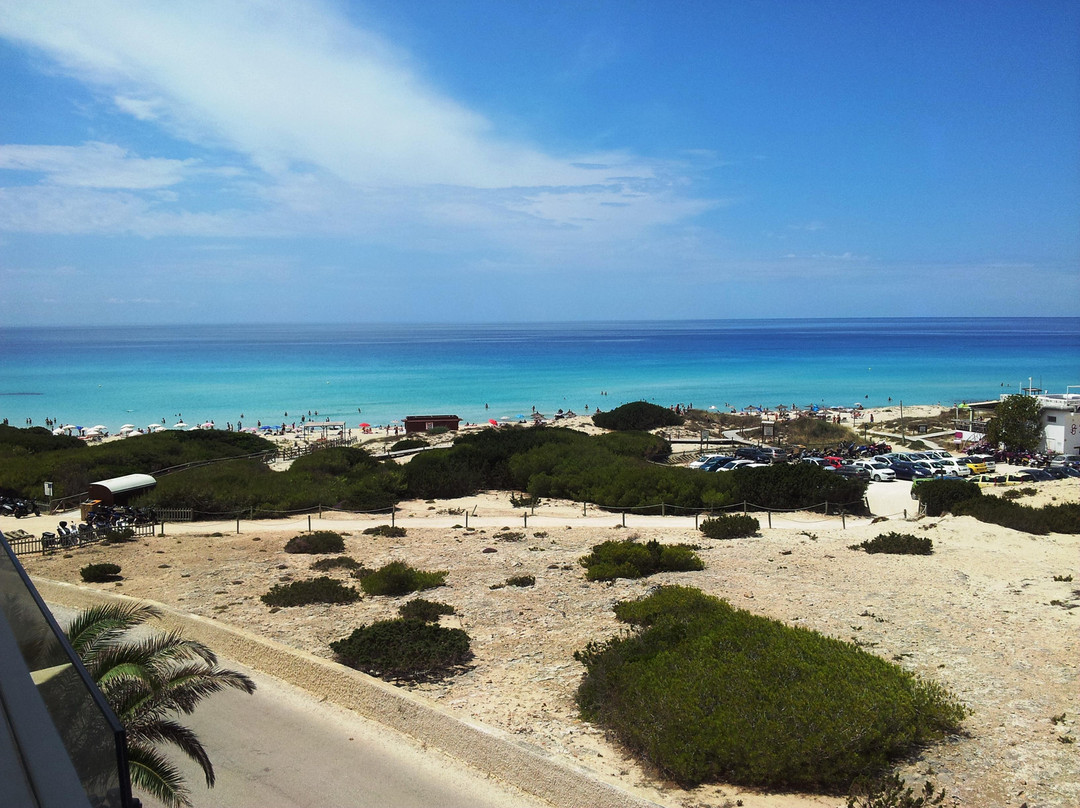 Platja Des Arenals景点图片