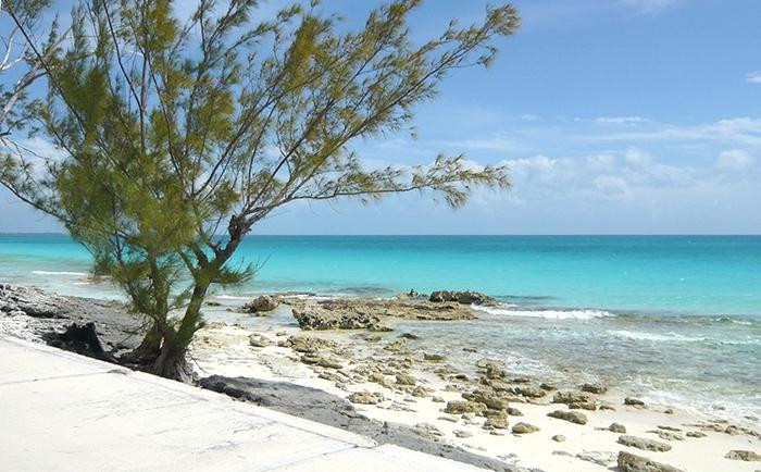 Cocktails by the Sea-Cat Island必去景点