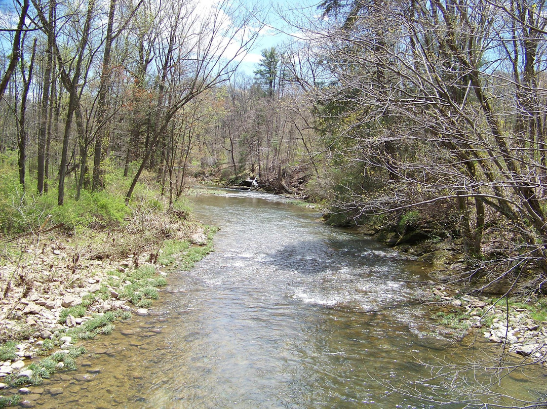 Jacobsburg State Park景点图片