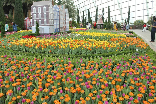 花穹-新加坡必去景点