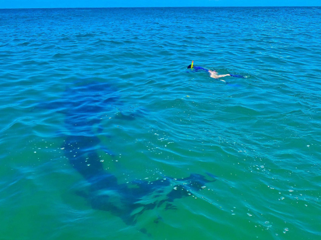 Barra Dive Resort-Inhambane必去景点